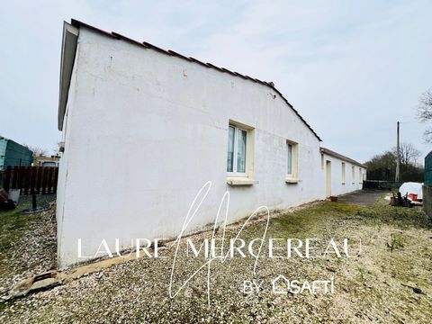 photo no. 10