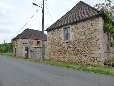 photo no. 6