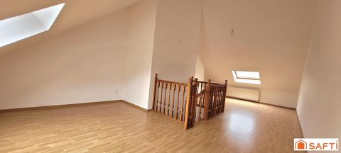 photo no. 16