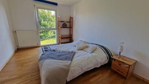 photo no. 15