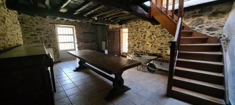 photo no. 12