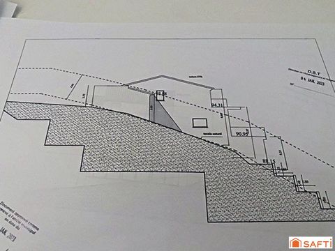photo no. 10