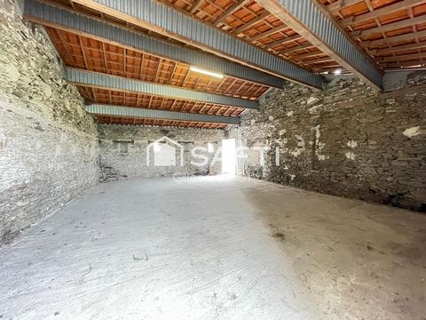 photo no. 6