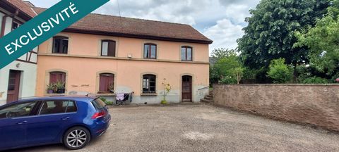 photo no. 14