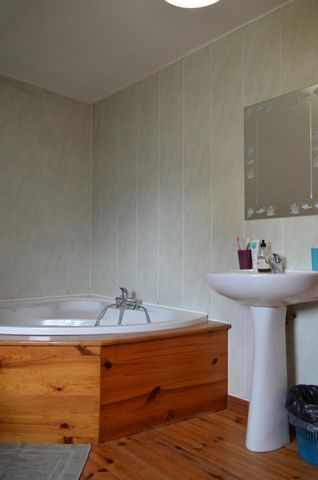 photo no. 11