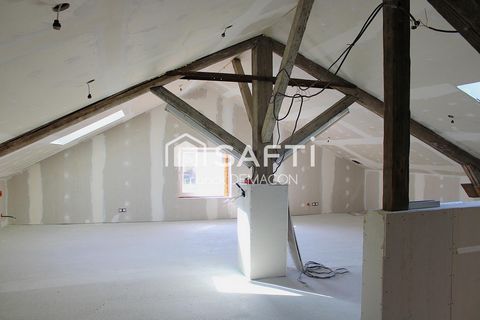 photo no. 12