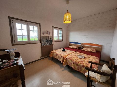 photo no. 12