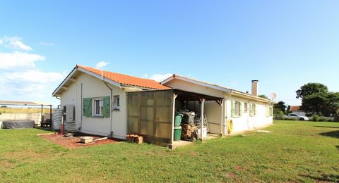 photo no. 15