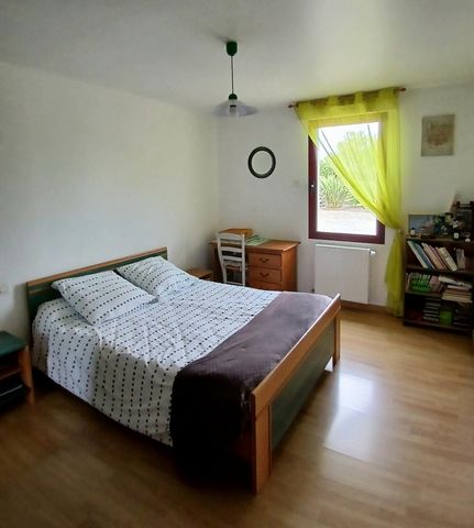 photo no. 7