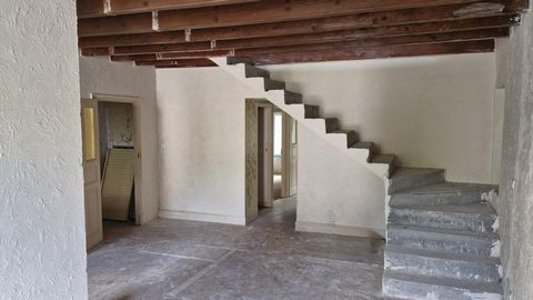 photo no. 8