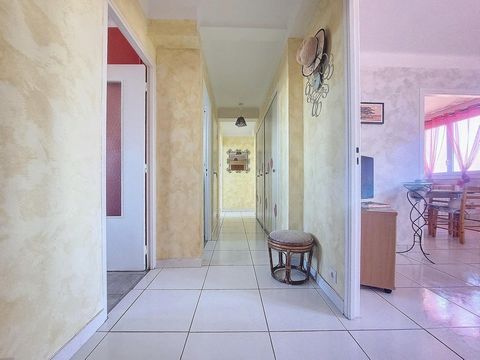 photo no. 8