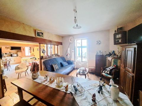 photo no. 6