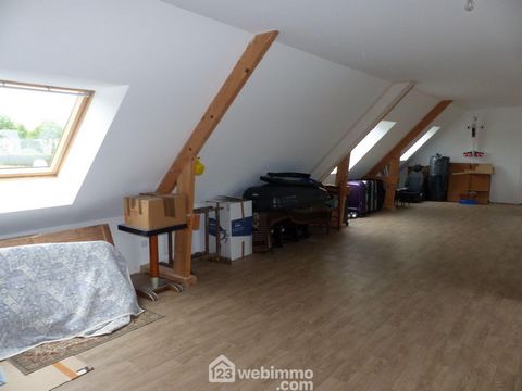 photo no. 19