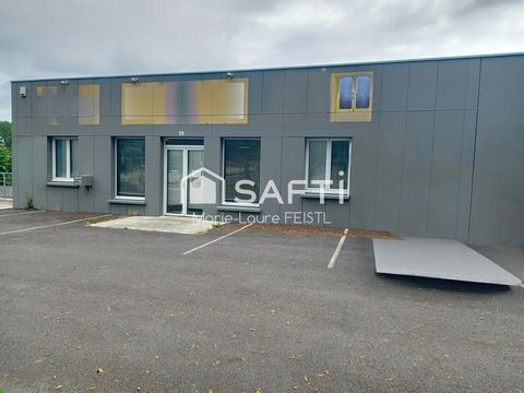 photo no. 6