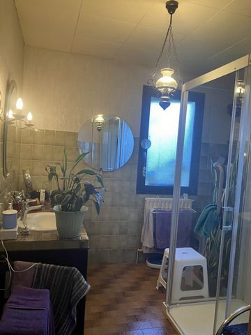 photo no. 11