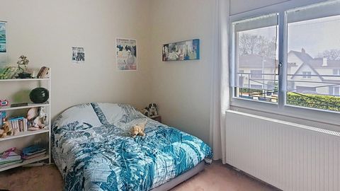 photo no. 11
