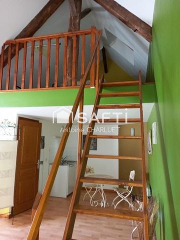 photo no. 14