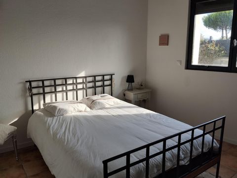 photo no. 7