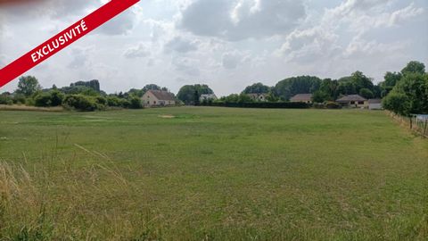 Terrain constructible à viabiliser de 11601 m²