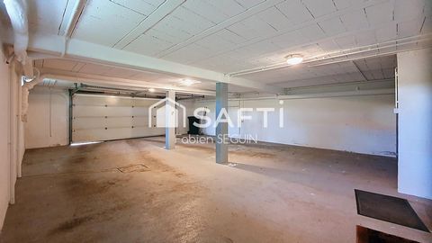photo no. 11