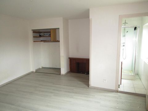 photo no. 7