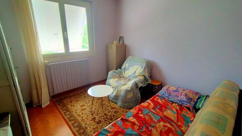 photo no. 11
