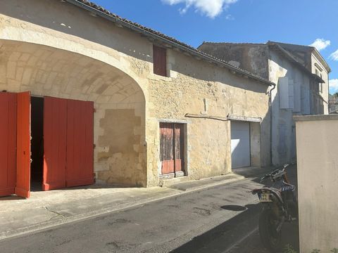 photo no. 3