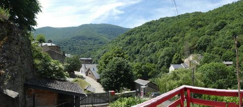 photo no. 3