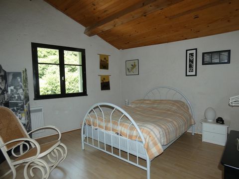 photo no. 7