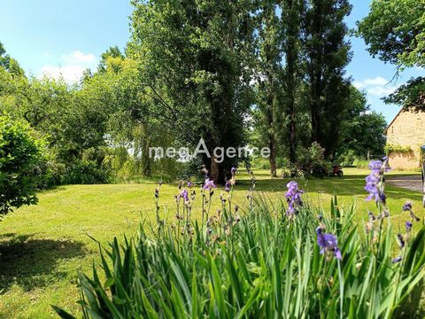 photo no. 11