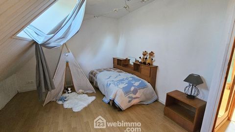 photo no. 13