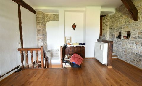 photo no. 12
