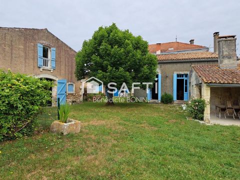 photo no. 1