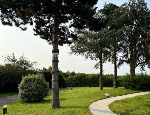 photo no. 10
