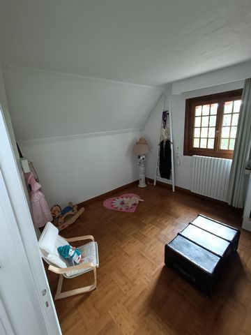 photo no. 6