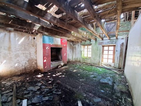 photo no. 1