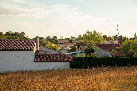 photo no. 3