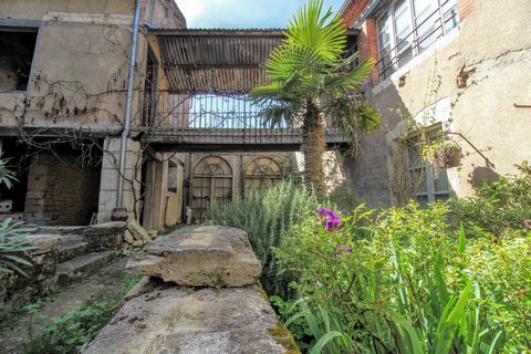photo no. 15