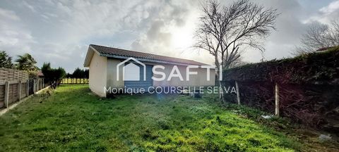 photo no. 2