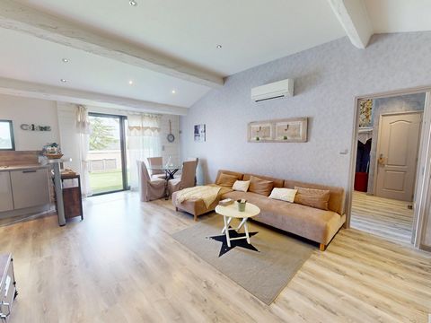 photo no. 11