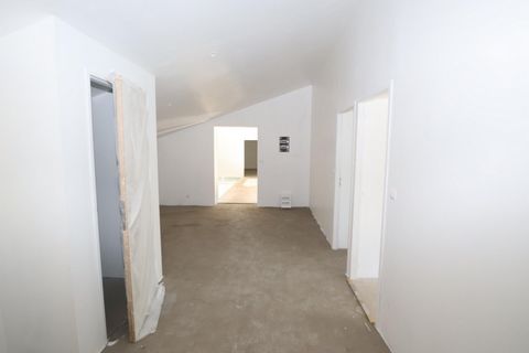 photo no. 12