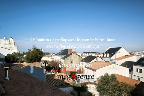 Vivre entre les murs d’un T2… et sous le ciel d’un rooftop ! Quartier Passage – Île Penotte – Remblai
