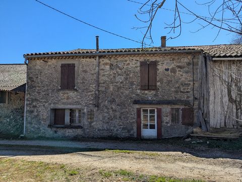 photo no. 13