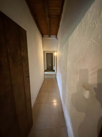 photo no. 24