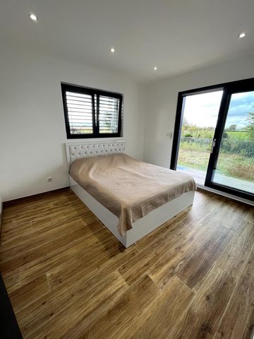 photo no. 11