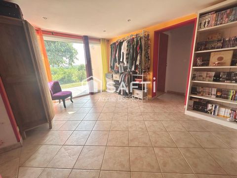photo no. 11