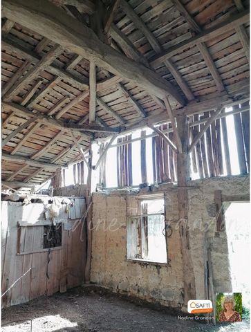 photo no. 11
