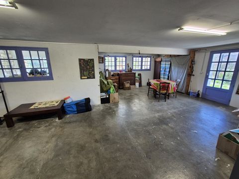 photo no. 17