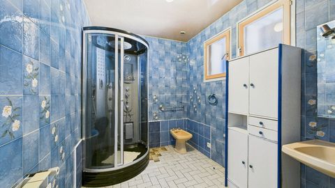 photo no. 9