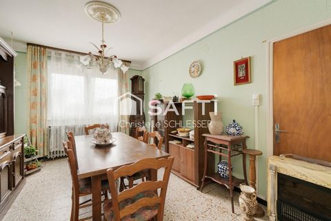 photo no. 6